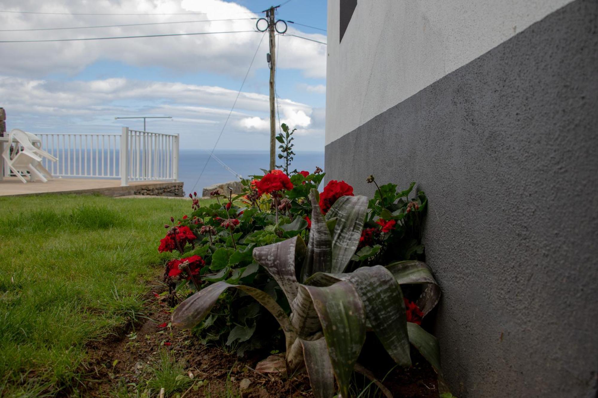 Oasis Fonte Grande Apartment Santo Antonio (Sao Miguel)
