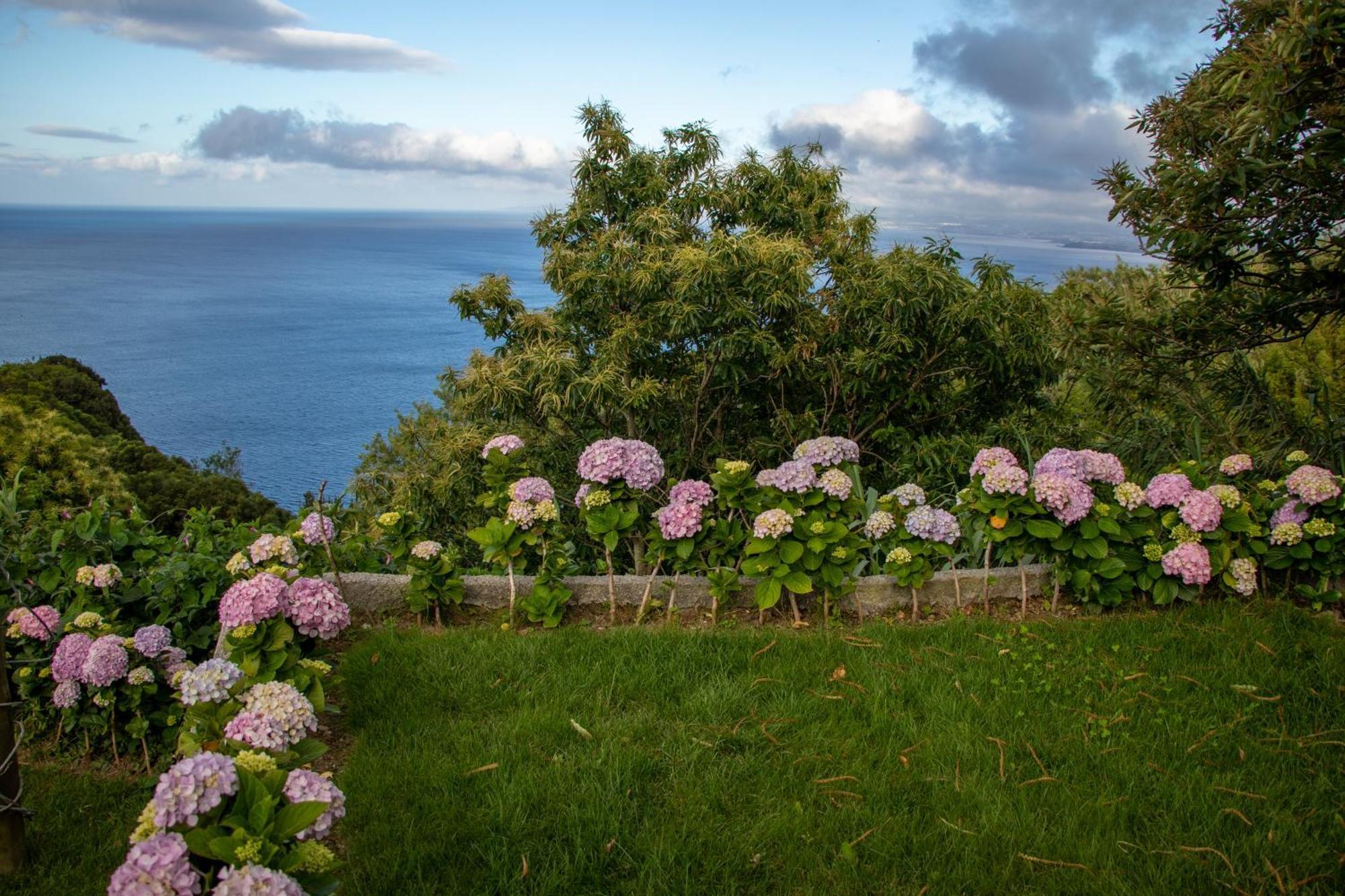 Oasis Fonte Grande Santo Antonio (Sao Miguel)